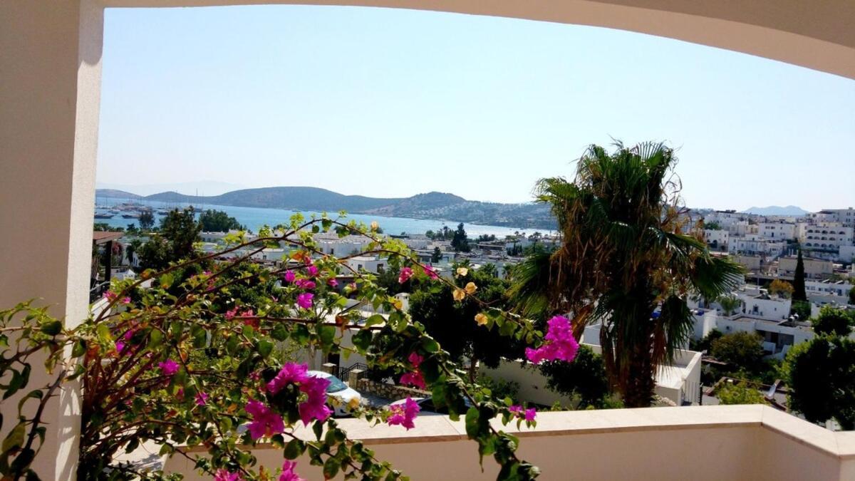Center Sea View